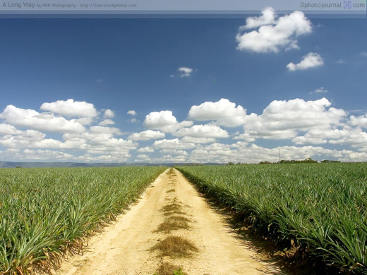 23335 (a): :1024x768